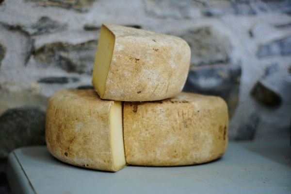 Milch & Käse